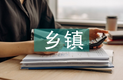 鄉(xiāng)鎮(zhèn)財務(wù)管理模式分析