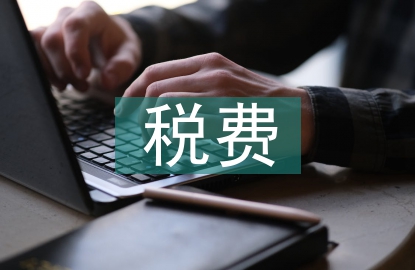 稅費(fèi)征管體系