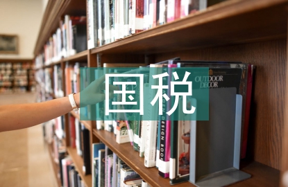 國(guó)稅工作要點(diǎn)