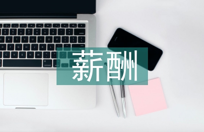 薪酬專員年度工作計劃