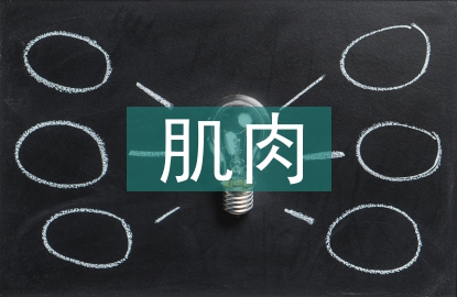 肌肉的主要生物力學(xué)特征