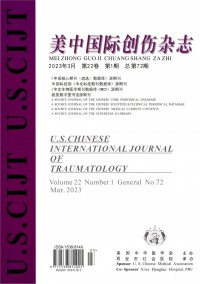 美中國(guó)際創(chuàng)傷雜志