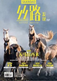 絲路發(fā)現(xiàn)雜志
