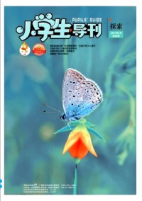 小學(xué)生導(dǎo)刊·中年級雜志