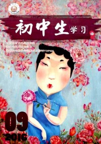 初中生學(xué)習(xí)(中)雜志